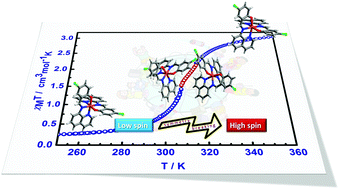 Graphical abstract: Symmetry breaking above room temperature in an Fe(ii) spin crossover complex with an N4O2 donor set