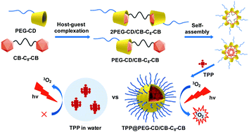 Graphical abstract: Stable amphiphilic supramolecular self-assembly based on cyclodextrin and carborane for the efficient photodynamic therapy