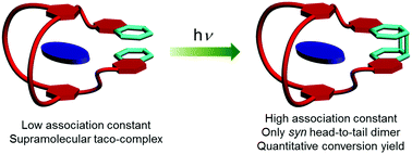 Graphical abstract: Taco complex-templated highly regio- and stereo-selective photodimerization of a coumarin-containing crown ether