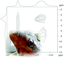 Graphical abstract: Structural characterization of fluoride species in shark teeth