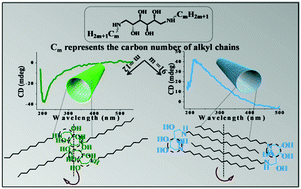 Graphical abstract: Switching chirality in the assemblies of bio-based amphiphiles solely by varying their alkyl chain length