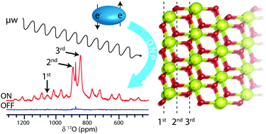 Graphical abstract: Surface-selective direct 17O DNP NMR of CeO2 nanoparticles