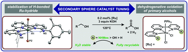 Graphical abstract: Second sphere ligand modifications enable a recyclable catalyst for oxidant-free alcohol oxidation to carboxylates