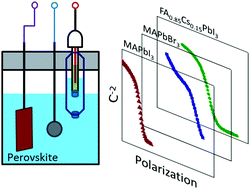 Graphical abstract: Electrochemical impedance analysis of perovskite–electrolyte interfaces