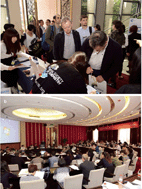 Graphical abstract: Highlights from liquid salts for energy and materials – Faraday Discussion, Ningbo, China, 11–13 May 2016