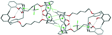 Graphical abstract: Synthesis and recognition properties of calix[4]arene semitubes as ditopic hosts for N-alkylpyridinium ion pairs