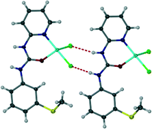 Graphical abstract: Anion hydrogen bonding from a ‘revealed’ urea ligand
