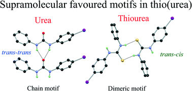Graphical abstract: The impact of modular substitution on crystal packing: the tale of two ureas