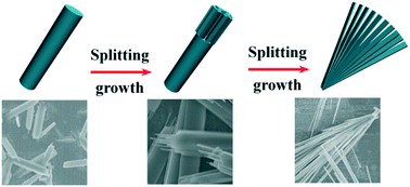 Graphical abstract: Synthesis of 3D α-MnMoO4 hierarchical architectures for high-performance supercapacitor applications