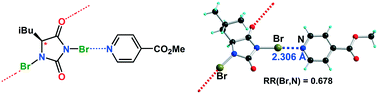 Graphical abstract: Dibromohydantoins as halogen bond (XB) donors: a route toward the introduction of chirality in halogen bonded systems
