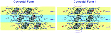 Graphical abstract: Designing a new cocrystal of olanzapine drug and observation of concomitant polymorphism in a ternary cocrystal system