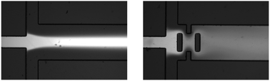 Graphical abstract: How imperfect mixing and differential diffusion accelerate the rate of nonlinear reactions in microfluidic channels