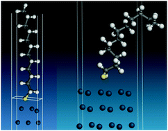 Graphical abstract: The adsorbed state of a thiol on palladium nanoparticles