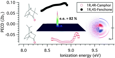 Graphical abstract: Determination of accurate electron chiral asymmetries in fenchone and camphor in the VUV range: sensitivity to isomerism and enantiomeric purity