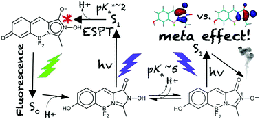 Graphical abstract: pH-Sensitive fluorophores from locked GFP chromophores by a non-alternant analogue of the photochemical meta effect