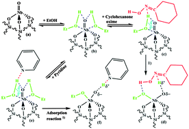 Graphical abstract: Spectroscopic study on the active site of a SiO2 supported niobia catalyst used for the gas-phase Beckmann rearrangement of cyclohexanone oxime to ε-caprolactam
