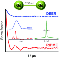 Graphical abstract: RIDME distance measurements using Gd(iii) tags with a narrow central transition