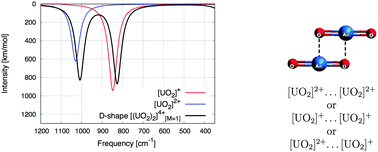 Graphical abstract: Dissecting the cation–cation interaction between two uranyl units