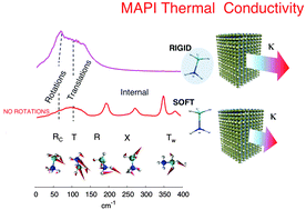 Graphical abstract: Tuning the thermal conductivity of methylammonium lead halide by the molecular substructure