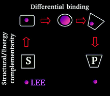 Graphical abstract: Low energy electron catalyst: the electronic origin of catalytic strategies