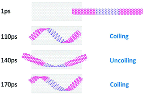 Graphical abstract: Uncoiling of helical boron nitride–graphene nanoribbons in a single-walled carbon nanotube