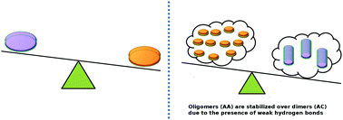 Graphical abstract: Understanding the self-assembly of amino ester-based benzene-1,3,5-tricarboxamides using molecular dynamics simulations