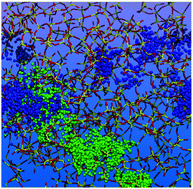 Graphical abstract: Dynamical descriptors of bioactivity: a correlation between chemical durability and ion migration in biodegradable glasses