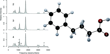 Graphical abstract: Vibrational intensities in the mobile block Hessian approximation