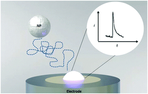 Graphical abstract: Electrode–particle impacts: a users guide