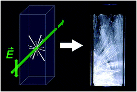 Graphical abstract: Polarization independence of laser-induced nucleation in supersaturated aqueous urea solutions