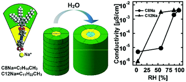 Graphical abstract: Humidity-induced formation of water channels in supramolecular assemblies of wedge-shaped amphiphiles: the effect of the molecular architecture on the channel topology
