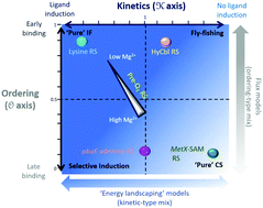 Graphical abstract: An integrated perspective on RNA aptamer ligand-recognition models: clearing muddy waters