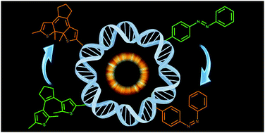 Graphical abstract: Recent developments in reversible photoregulation of oligonucleotide structure and function
