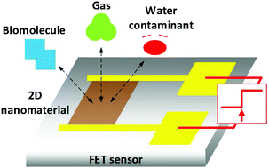 Graphical abstract: Two-dimensional nanomaterial-based field-effect transistors for chemical and biological sensing