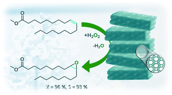 Graphical abstract: Accessibility enhancement of TS-1-based catalysts for improving the epoxidation of plant oil-derived substrates
