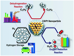 Graphical abstract: Carbon dissolution and segregation in platinum