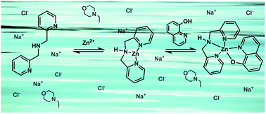 Graphical abstract: Calorimetric studies of the interactions of metalloenzyme active site mimetics with zinc-binding inhibitors