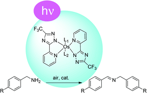 Graphical abstract: Osmium(ii) complexes for light-driven aerobic oxidation of amines to imines