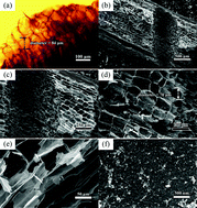 Graphical abstract: Biomimetic synthesis of cerium oxide nanosquares on RGO and their enhanced photocatalytic activities