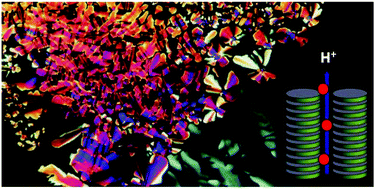 Graphical abstract: Nanostructured discotic Pd(ii) metallomesogens as one-dimensional proton conductors