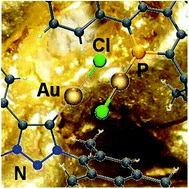 Graphical abstract: Phosphinines versus mesoionic carbenes: a comparison of structurally related ligands in Au(i)-catalysis
