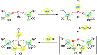 Graphical abstract: Coordination chemistry of phosphinocarbynes: phosphorus vs. carbyne site selectivity