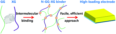 Graphical abstract: Exploiting a robust biopolymer network binder for an ultrahigh-areal-capacity Li–S battery