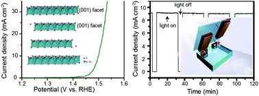 Graphical abstract: A layered Na1−xNiyFe1−yO2 double oxide oxygen evolution reaction electrocatalyst for highly efficient water-splitting