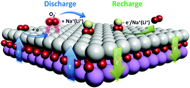 Graphical abstract: A bifunctional solid state catalyst with enhanced cycling stability for Na and Li–O2 cells: revealing the role of solid state catalysts