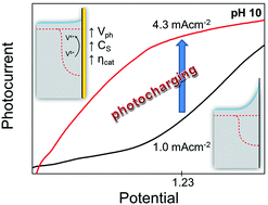 Graphical abstract: Near-complete suppression of surface losses and total internal quantum efficiency in BiVO4 photoanodes