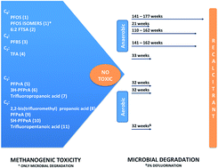 Graphical abstract: Microbial toxicity and biodegradability of perfluorooctane sulfonate (PFOS) and shorter chain perfluoroalkyl and polyfluoroalkyl substances (PFASs)