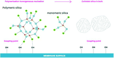 Graphical abstract: Silica fouling in high salinity waters in reverse osmosis desalination (sodium–silica system)