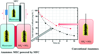 Graphical abstract: Self-sustained high-rate anammox: from biological to bioelectrochemical processes