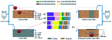 Graphical abstract: Microbial electrochemical systems outperform fixed-bed biofilters in cleaning up urban wastewater